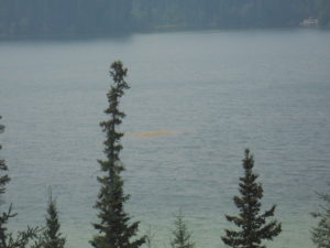 Floating algal bloom in Lac des Roches