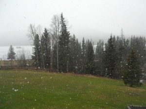 April "showers" in the Cariboo