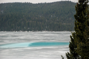 Deep blue pools are a new phenomena on Lac des Roches.  Daryl Llewellyn photo.