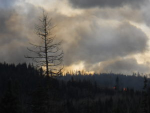 Daytime smoke and fire from the many slash piles on the south shore.