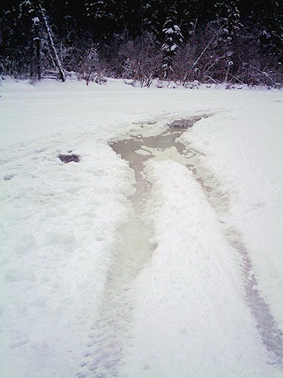 Wheel tracks indicate an ATV broke through the thin ice in the shallow Lac des Roches channel mid-January. There are many hazards to watch for when using the frozen lake as a winter playground. — image credit: Sharron Woloshyn