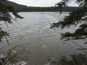 Ice break up at Carlos' point Dec. 10. 