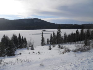 Open water on Dec 1 was frozen on Dec 2, 2014.