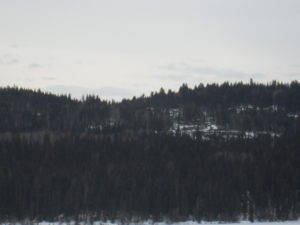 View of logging from Lac des Roches rest stop, March 8, 2014