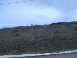 Snow-free field below Rest Stop