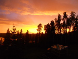 Neon sunset in late June