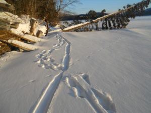 track crossing