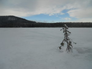 Pole marks where a sled went through thin ice Dec 30.
