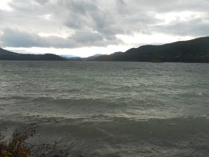 waves and whitecaps - Oct19